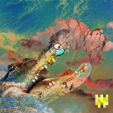Gator Snout (Rainy Nights) | Boomplay Music