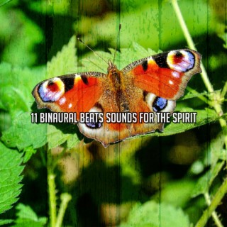 11 Binaural Beats Sounds For The Spirit