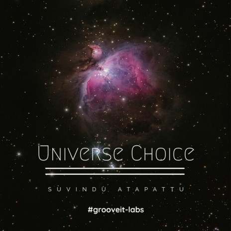 The Universe Choice