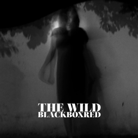 The Wild (Radio Edit) | Boomplay Music