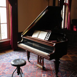 Ansie Piano