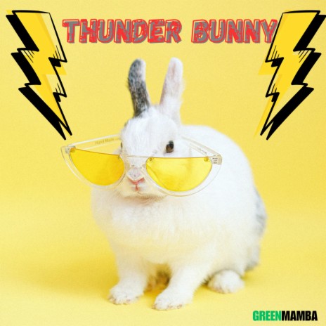 Thunder Bunny | Boomplay Music