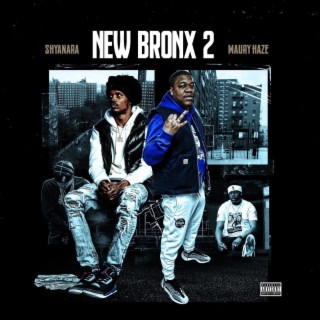 New Bronx 2