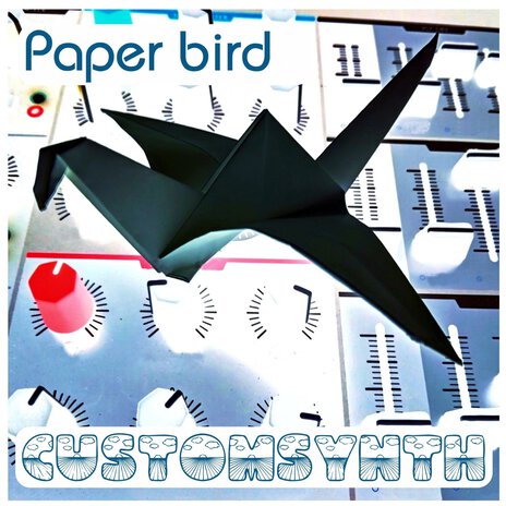 Paper Bird | Boomplay Music