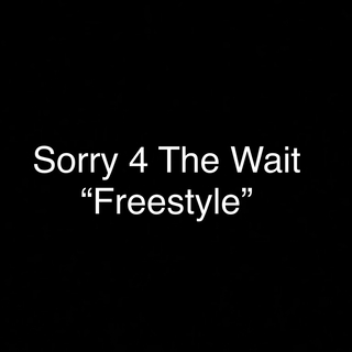 Sorry 4 The Wait Freestyle