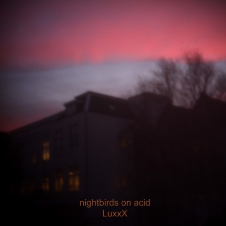 Nightbirds on acid