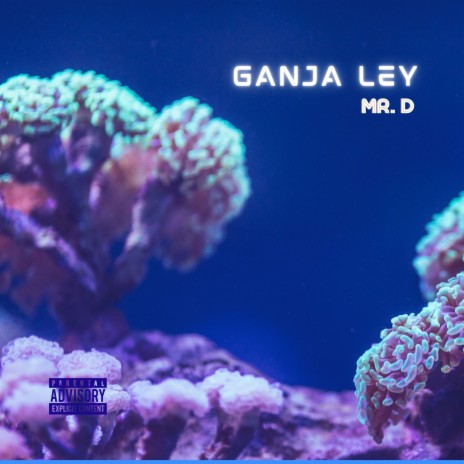 Ganja Ley | Boomplay Music