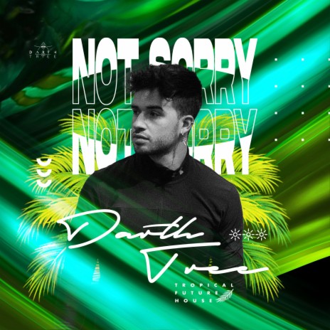 Not Sorry | Boomplay Music