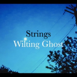 Strings