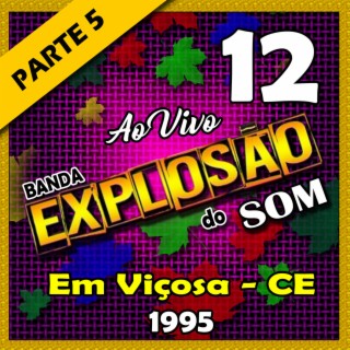 AO VIVO EM VIÇOSA CE - VOLUME 12