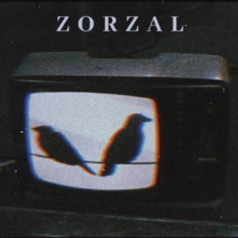 Zorzal | Boomplay Music