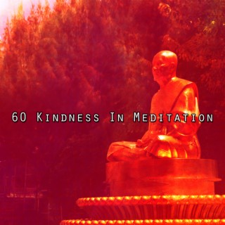60 Kindness In Meditation