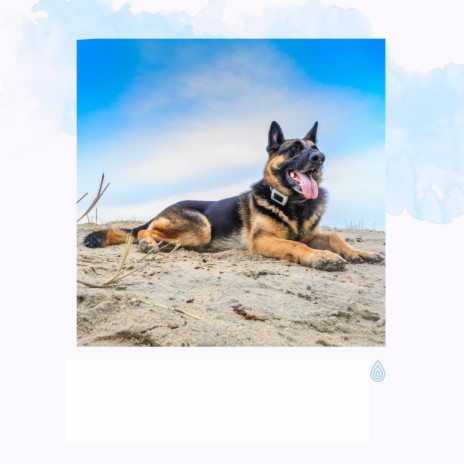 Sons Relaxantes Chinois ft. Focus & Work, Music for Dogs Ears, Music For Calming Dogs, Calming Music for Dogs & Chakra Healing Music Academy | Boomplay Music