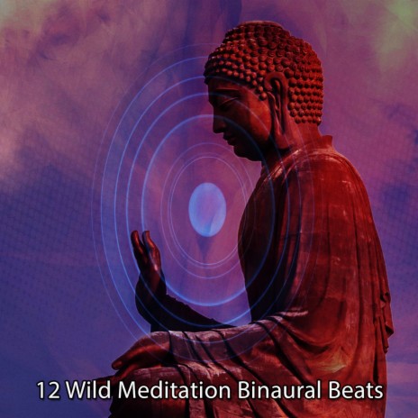 Serenity Through Binaural Beats