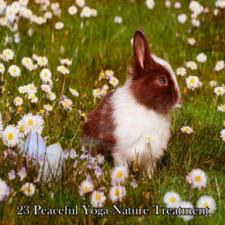 23 Peaceful Yoga Nature Treatment