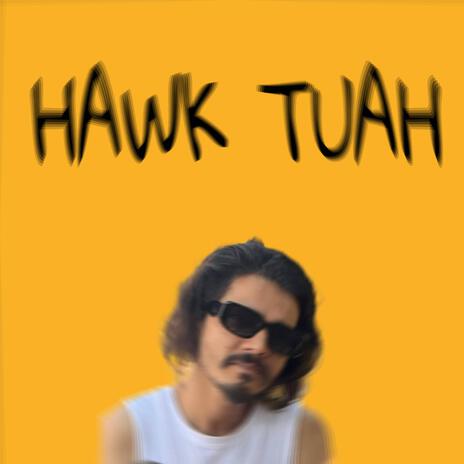 Hawk Tuah | Boomplay Music