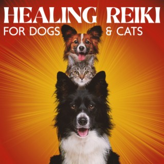 Healing Reiki for Dogs & Cats: 60 Min Sounds Therapy for Animals, Finding Inner Peace of Your Pets, Calm Down & Relax, Stress & Anxiety Reduction