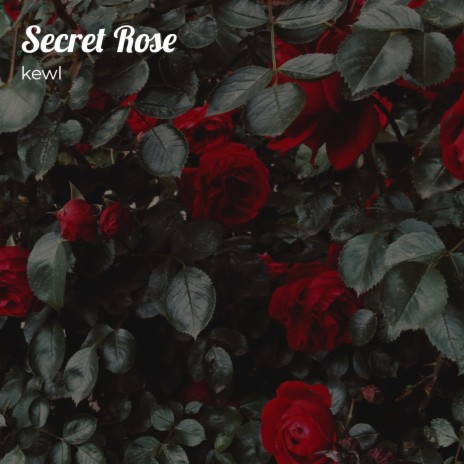 Secret Rose | Boomplay Music