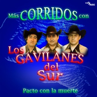 Los Gavilanes del Sur