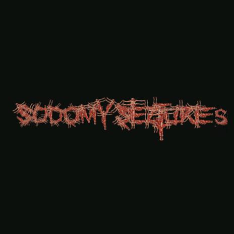 Sodomy Seizures | Boomplay Music
