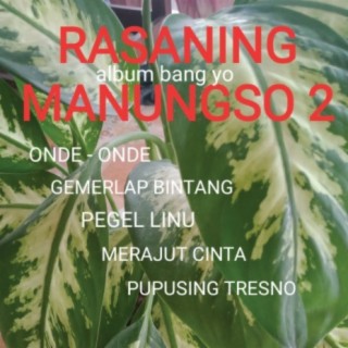 Rasaning Manungso Vol. 2