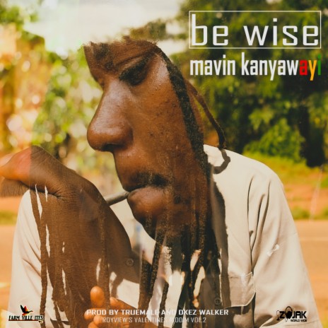 Be Wise | Boomplay Music