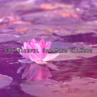 68 Peaceful Spa Mind Calmers