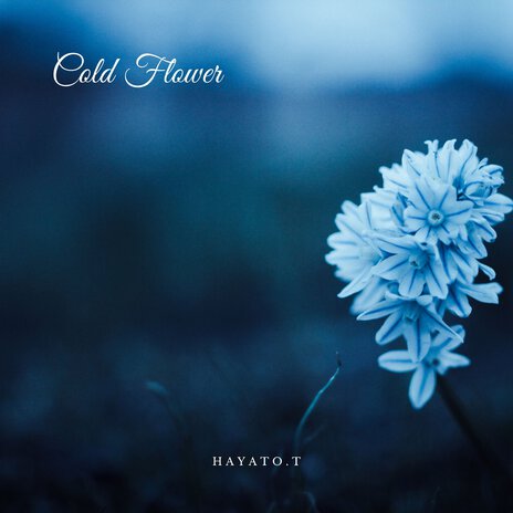 Cold Flower | Boomplay Music