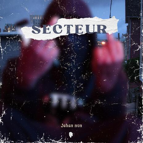 Secteur | Boomplay Music