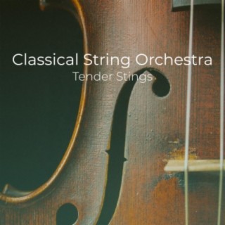 Classical String Orchestra Tender Strings