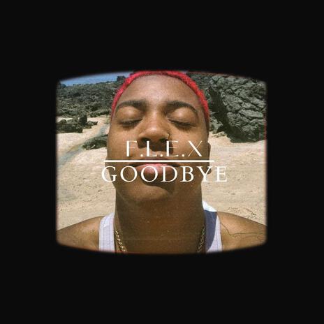 Goodbye | Boomplay Music