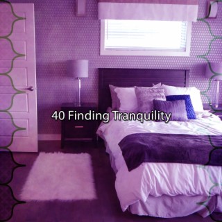 40 Finding Tranquility