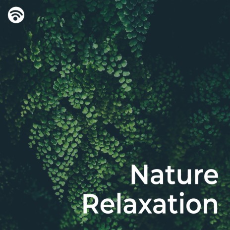 Gentle Whispers of Nature's Peace ft. Green Noise Sleep & Relaxing Sounds of Nature White Noise Waheguru | Boomplay Music