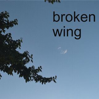 broken wing