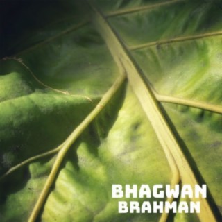 Brahman