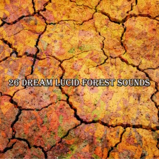 26 Dream Lucid Forest Sounds