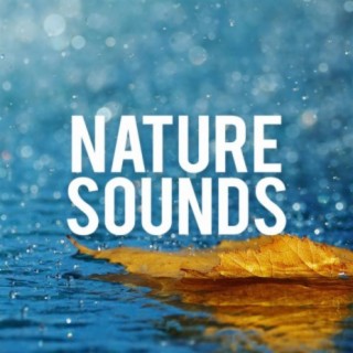 Nature Sounds