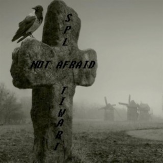 Not Afraid