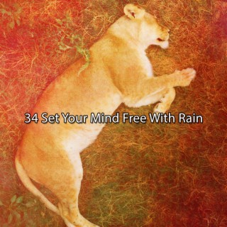 34 Set Your Mind Free With Rain