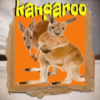 Kangaroo