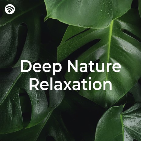 Serene Green Oasis ft. Sonidos de la Naturaleza & Música de la Naturaleza | Boomplay Music