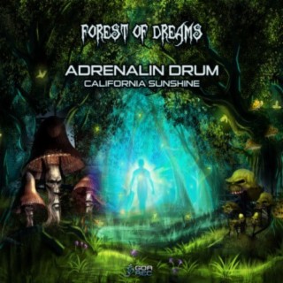 Adrenalin Drum