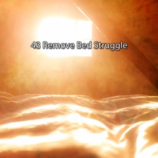43 Remove Bed Struggle