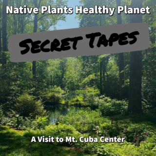 The Mt. Cuba Secret Tapes