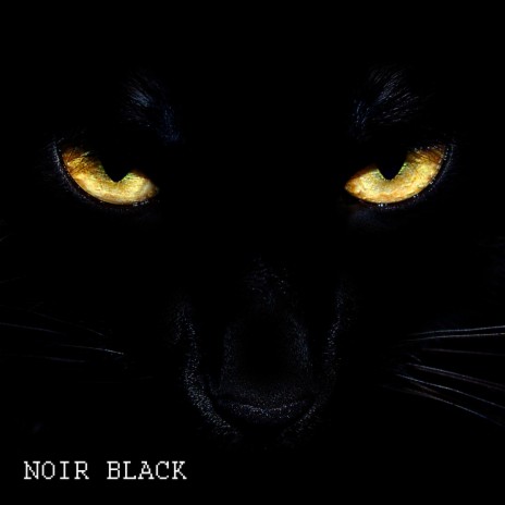 Noir Black | Boomplay Music