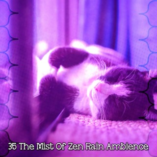 35 The Mist Of Zen Rain Ambience