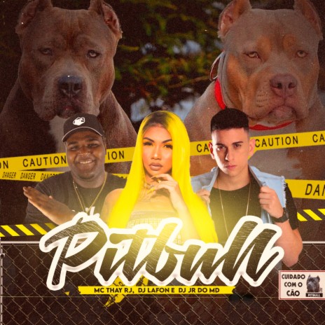 Pitbull ft. Mc Thay RJ & Dj Lafon | Boomplay Music