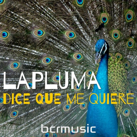 Dice Que Me Quiere (Remix) | Boomplay Music