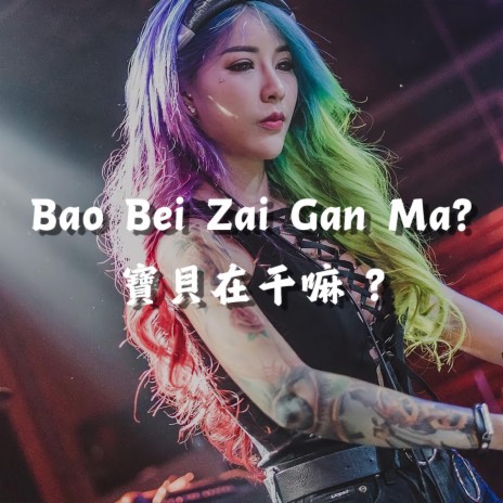 Bao Bei Zai Gan Ma? 宝贝在干嘛 (DY Music Version)