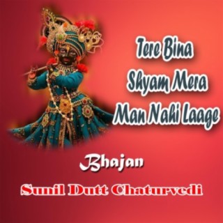 Tere Bina Shyaam Mera Man Nahi Laage Bhajan